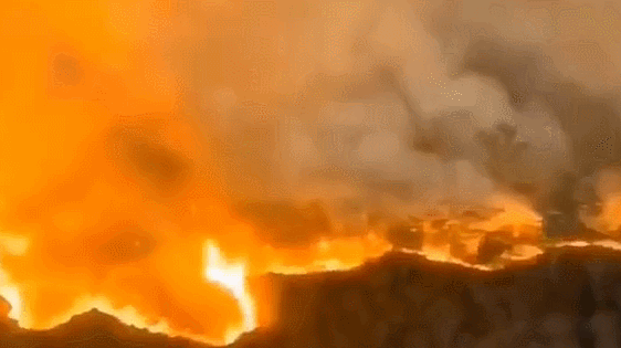 佛山高明山林火災最新動態！現場猶如災難片！